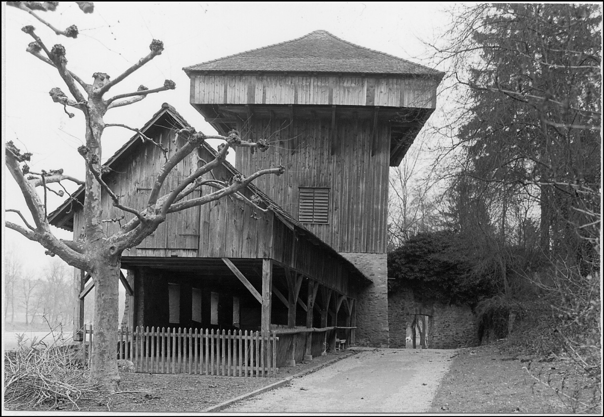 Altes Passfoto 16/1-0237