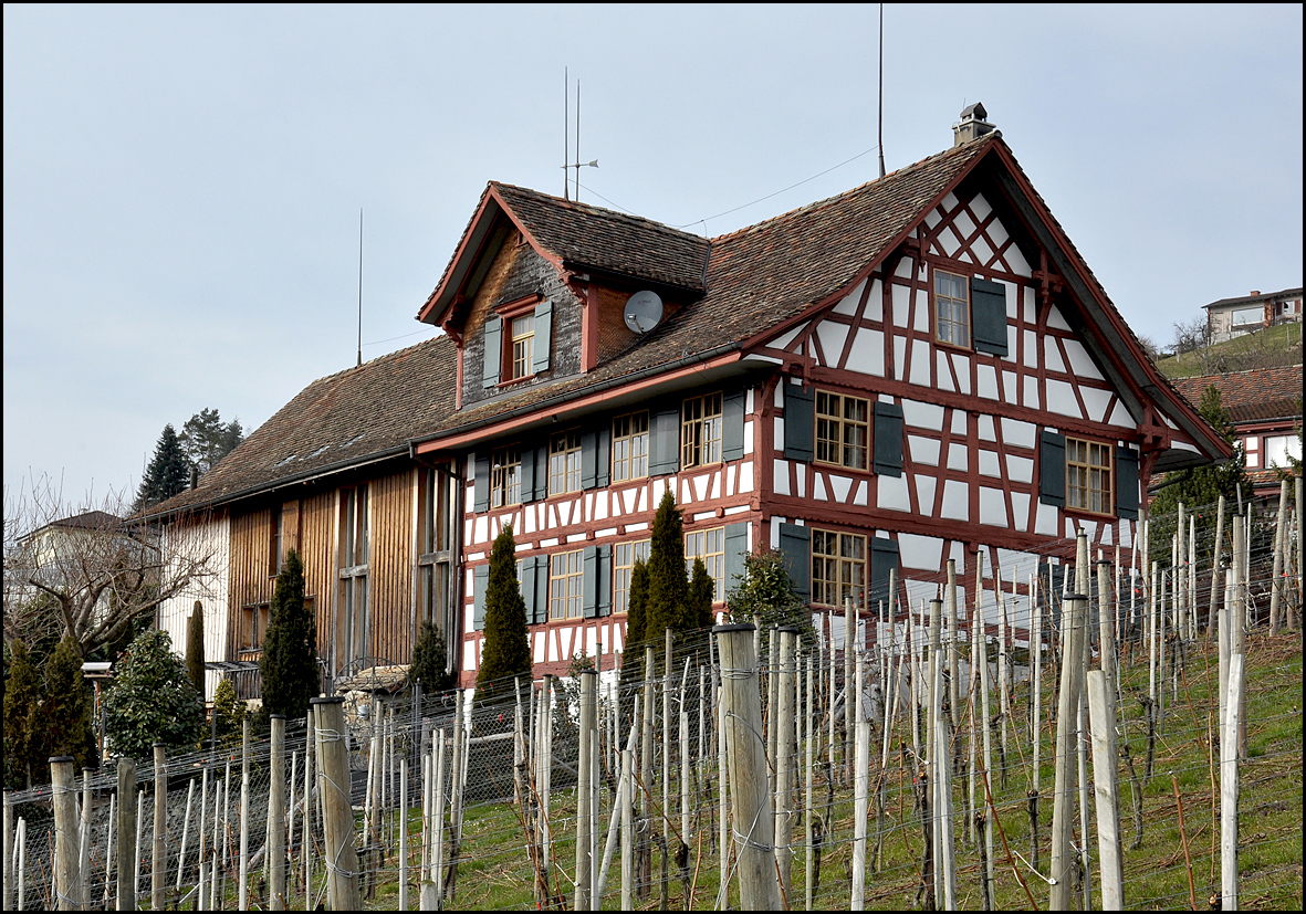 Zusatzfoto 42/2-0054