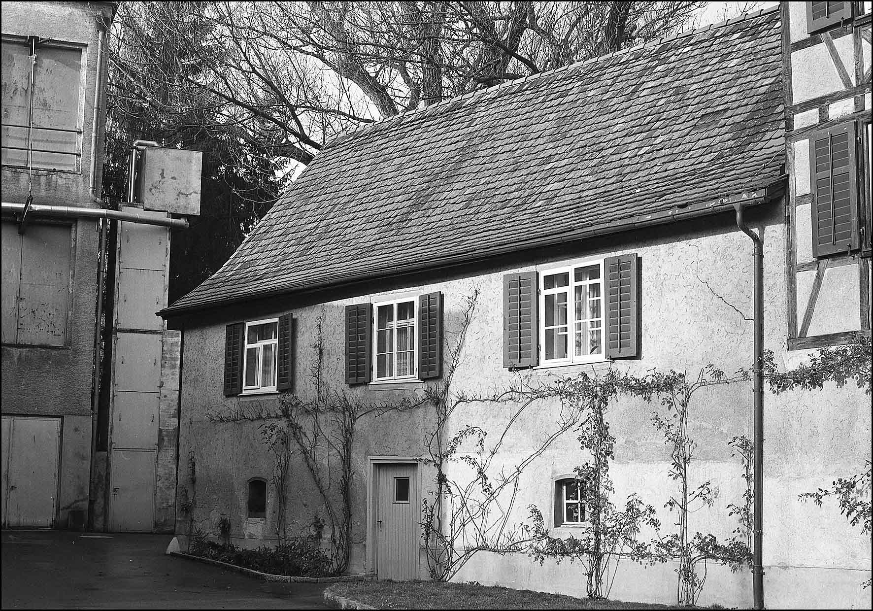 Altes Zusatzfoto 59/4-0399